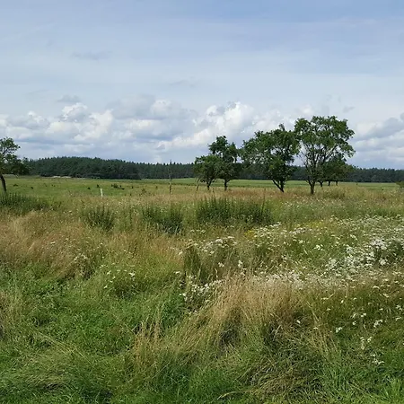 Holiday home Nahe Luebbesee *