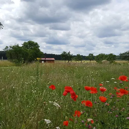Nahe Luebbesee Milmersdorf