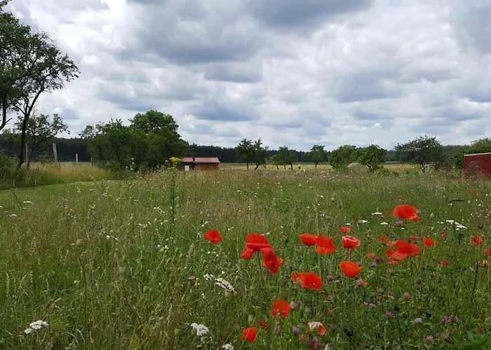 Nahe Luebbesee Milmersdorf
